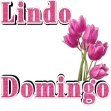 Figurinha para WhatsApp