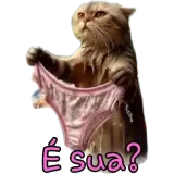 Figurinha de Memes para WhatsApp