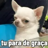 Figurinha de Memes Brasileiros para WhatsApp