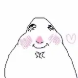 Figurinha de Animais para WhatsApp