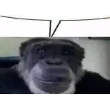 Figurinha de Memes para WhatsApp