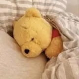 Animais WhatsApp sticker