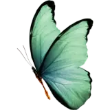 Figurinha de Animais para WhatsApp