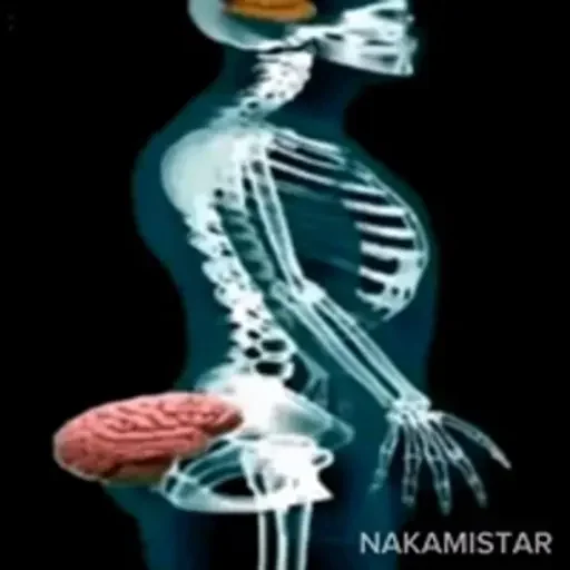 Figurinha para WhatsApp — Engraçados