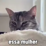 Figurinha para WhatsApp
