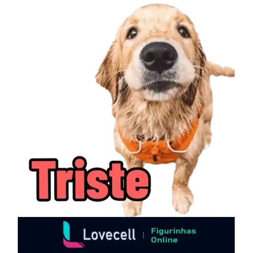 Coletadas sticker 32317