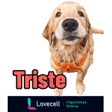 Sticker para WhatsApp