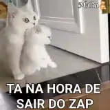 Figurinha de Gatos para WhatsApp