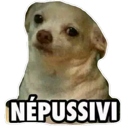 Coletadas sticker 605