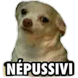 Figurinha para WhatsApp