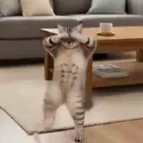 Animais WhatsApp sticker