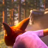 Figurinha de Animais para WhatsApp