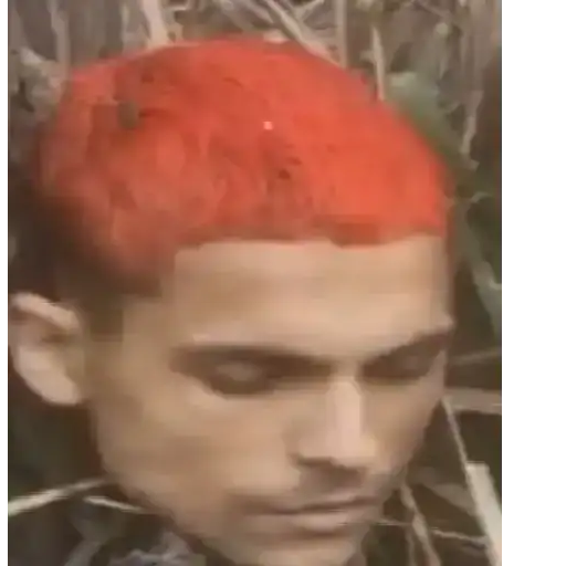 Coletadas sticker 583