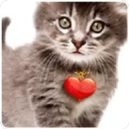 Coletadas sticker 33