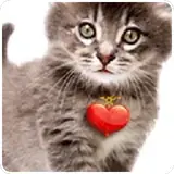 Figurinha para WhatsApp