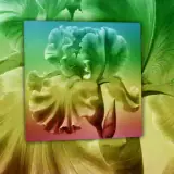 Figurinha para WhatsApp