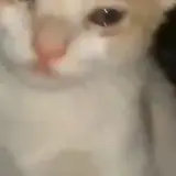 Sticker para WhatsApp