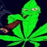 Figurinha de Memes para WhatsApp