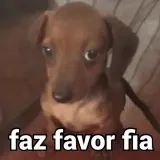 Figurinha de Memes Brasileiros para WhatsApp