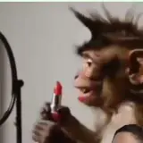 Figurinha de Animais para WhatsApp