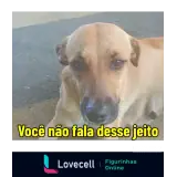 Sticker para WhatsApp