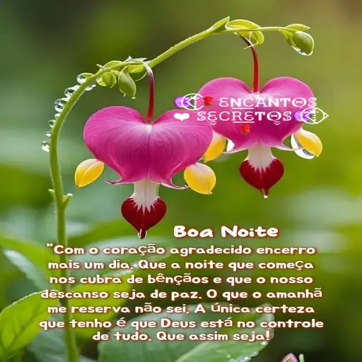 Coletadas sticker 35445