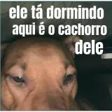 Figurinha para WhatsApp