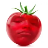 Memes WhatsApp sticker