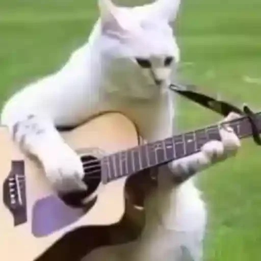 Figurinha para WhatsApp — Animais