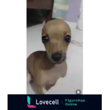 Sticker para WhatsApp