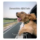 Figurinha de Cachorros para WhatsApp