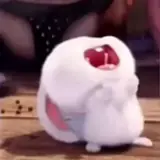 Figurinha de reação para WhatsApp