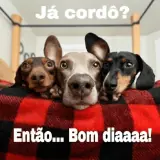 Figurinha de Cachorros para WhatsApp