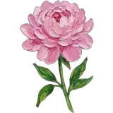 Figurinha para WhatsApp