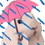 Figurinha de Animais para WhatsApp