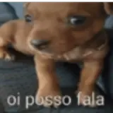 Figurinha de Cachorros para WhatsApp
