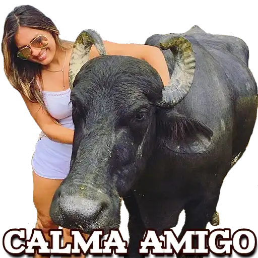 Coletadas sticker 23846