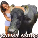Figurinha de Memes para WhatsApp