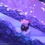 Figurinha de Anime para WhatsApp