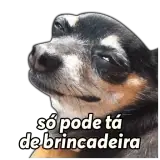 Figurinha de Memes Brasileiros para WhatsApp