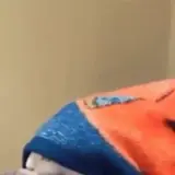 Sticker de Animais para WhatsApp