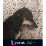 Sticker para WhatsApp