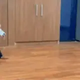 Figurinha para WhatsApp