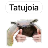 WhatsApp sticker