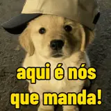 Figurinha de Memes Brasileiros para WhatsApp
