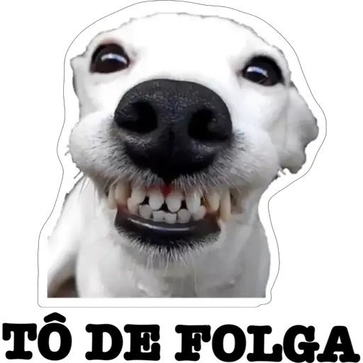 Coletadas sticker 39608