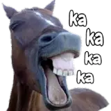 Figurinha de Memes para WhatsApp