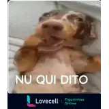 Sticker para WhatsApp