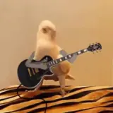 Figurinha de Cachorros para WhatsApp