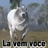 Figurinha de Memes Brasileiros para WhatsApp